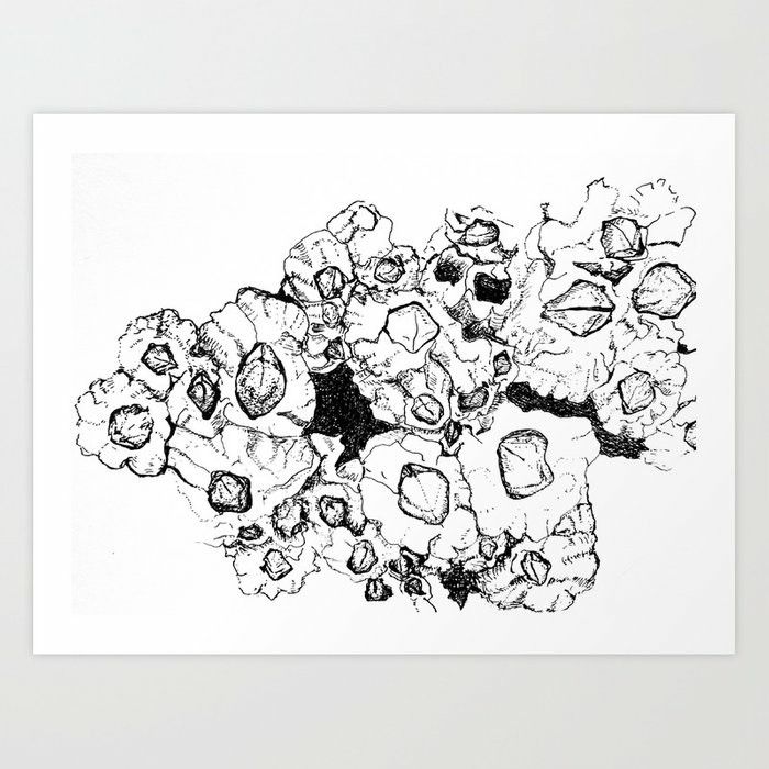 a black and white drawing of flowers on a white background art print by theartofoart