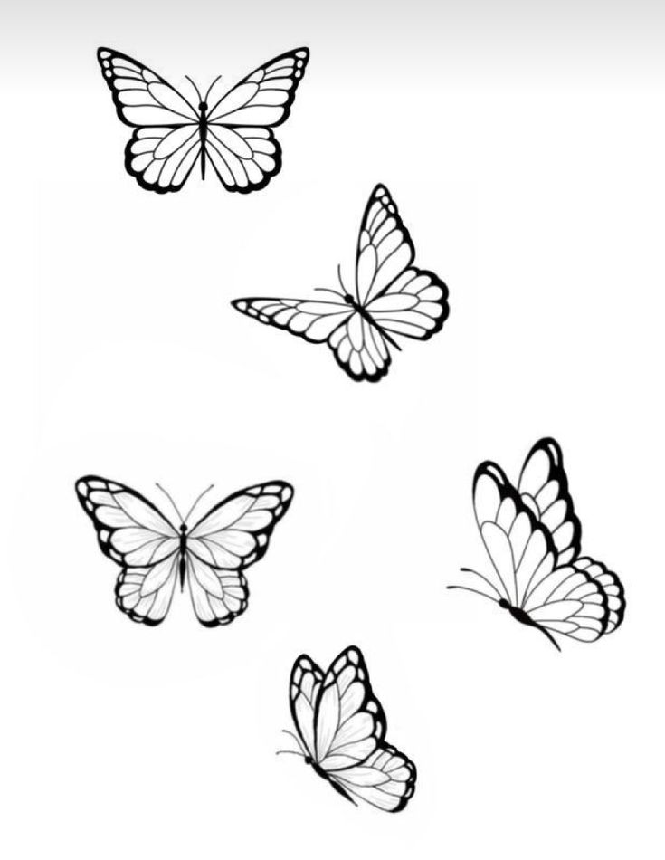 four butterflies flying in the air with one on top of it's head and another on