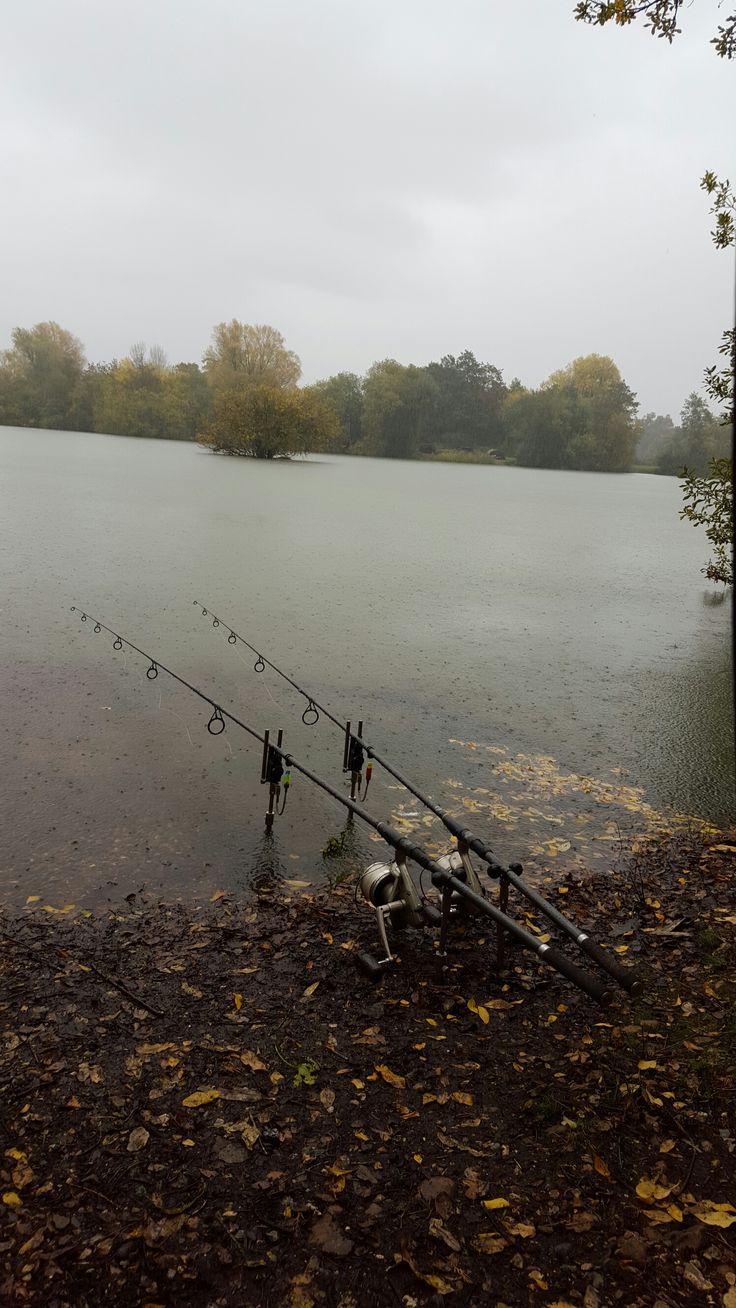 two fishing rods sitting on the shore of a lake