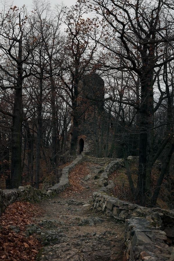 an old stone building in the woods with trees around it and leaves on the ground