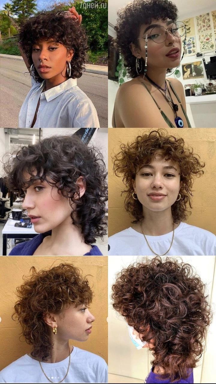 Womens Mullet Curly, Short Hair Mullet Curly, 4c Shag Haircut, Wolfcut Mullet Curly Hair, Curly Shag Mullet Women, Curly Hair Female Mullet, Queer Curly Hairstyles, 3b Mullet Hair, 80s Short Curly Hair