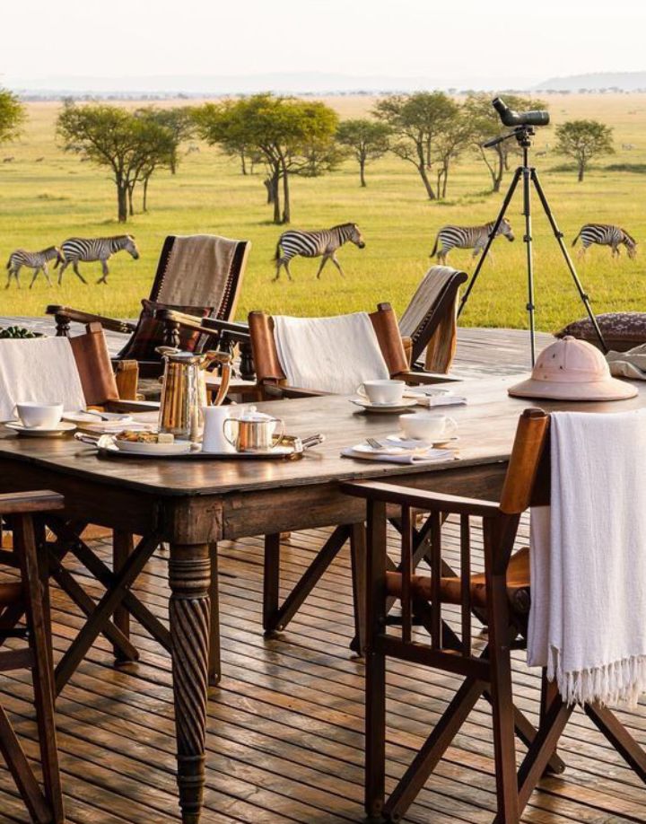 an outdoor dining area with zebras in the background