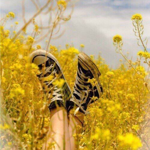 a person standing in a field of yellow flowers with their feet up on the ground