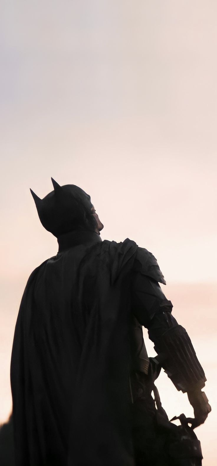 the back view of a batman statue with his hands in his pockets, looking at the sky