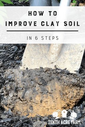 how to improve clay soil in 6 steps