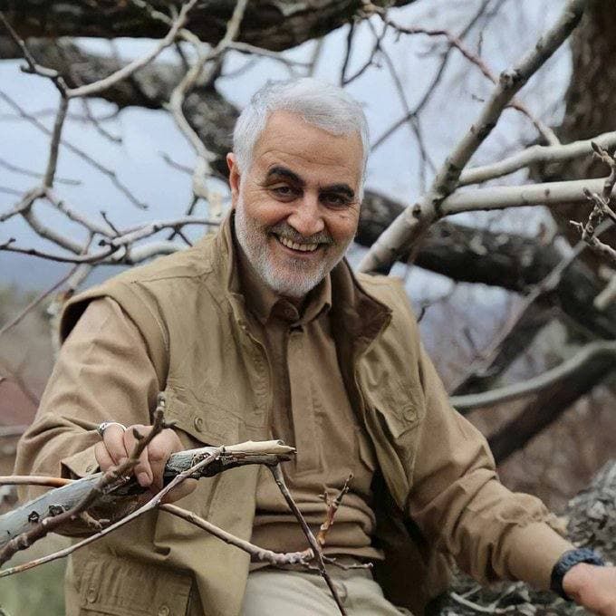 an older man sitting on top of a tree branch