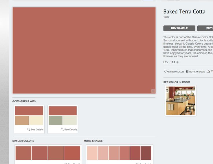 an image of a screen shot of the color palettes in this web page, which shows different shades of orange and brown