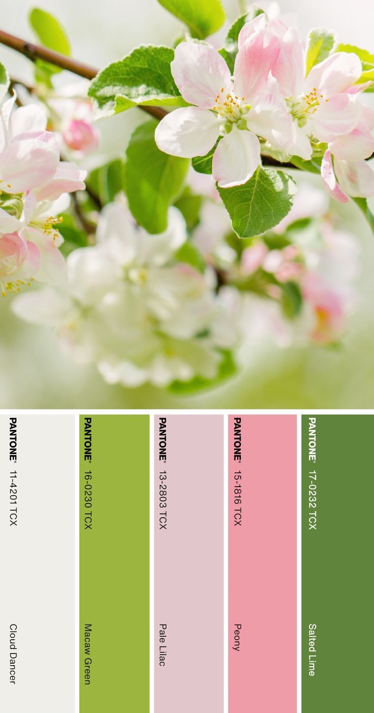 the color palette is green, pink, and white with lots of flowers on it