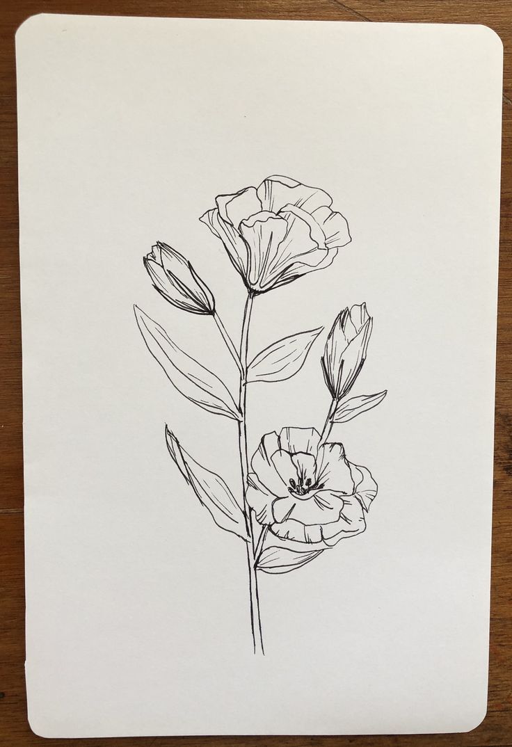 a drawing of three flowers sitting on top of a piece of paper next to a pen