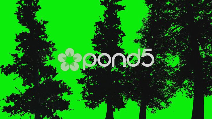 an animated green screen with trees and the word omop written in white on it