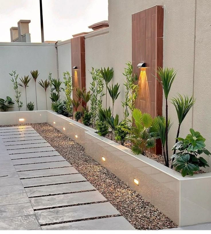 an outdoor garden with plants and lights