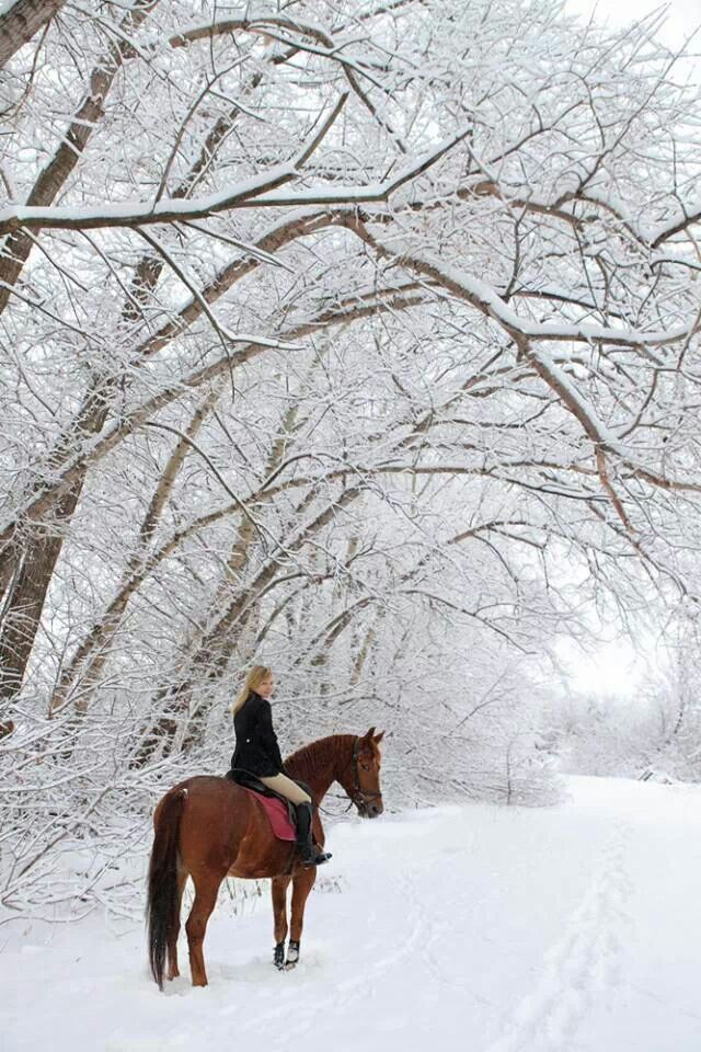 a woman riding on the back of a brown horse through a snow covered forest filled with trees