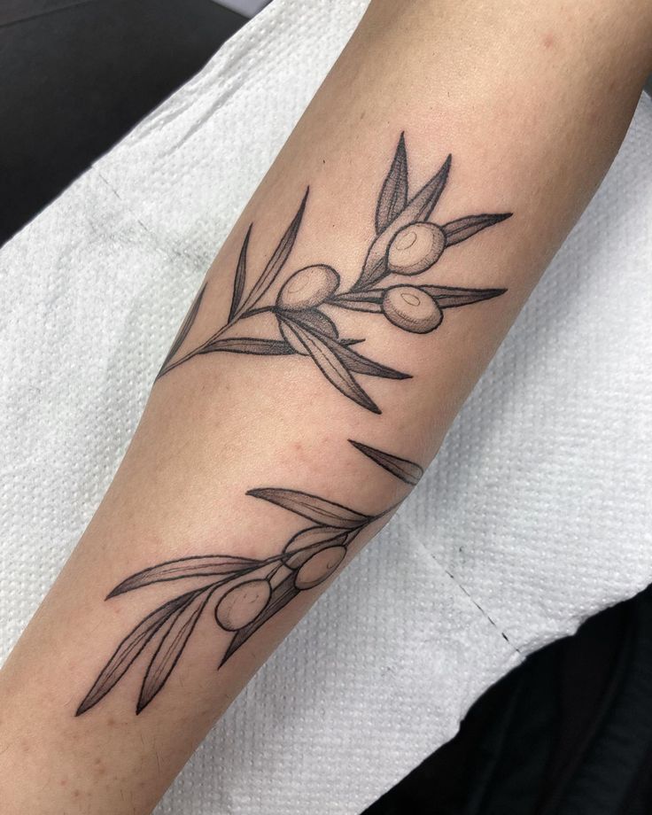 an olive branch tattoo on the arm