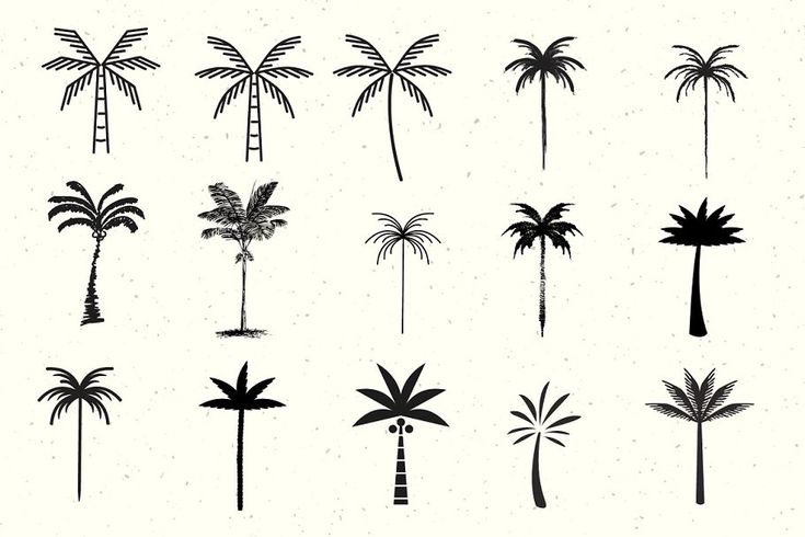 palm trees drawn in black ink on white paper