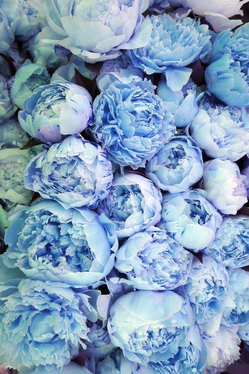 blue flowers with the words do and it things with great love