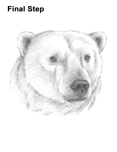 a drawing of a polar bear's head with the words final step on it