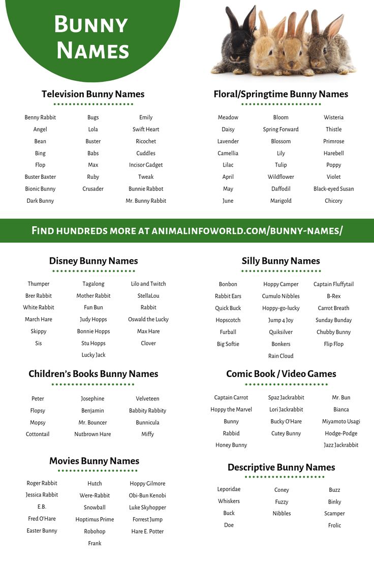 the bunny names list is shown in green and white