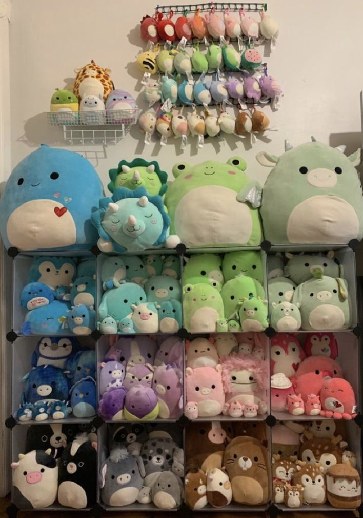 there are many stuffed animals on the shelves