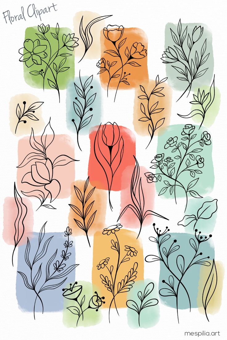 flowers and leaves are drawn in different colors