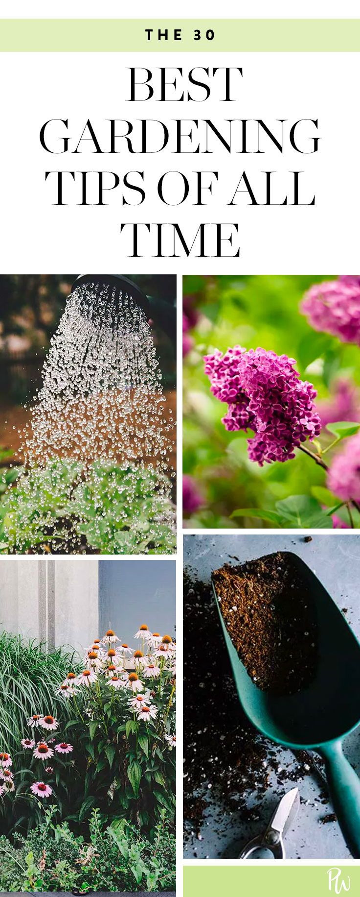 the 50 best gardening tips of all time, including flowers and plants in their sprinkles