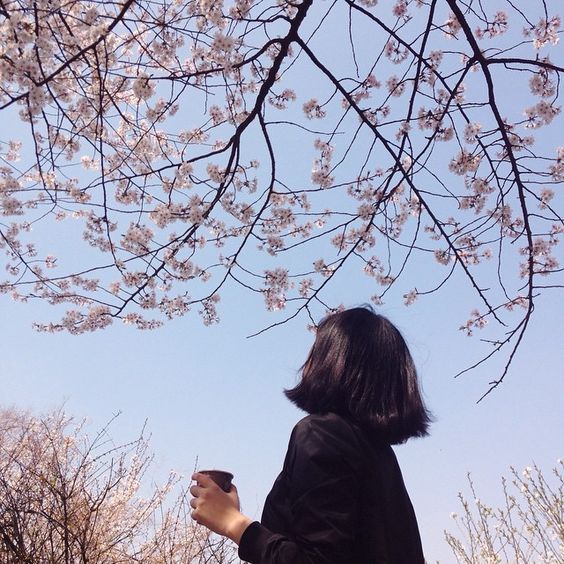 a woman standing under a blossoming tree holding a cell phone in her hand and looking up at the sky