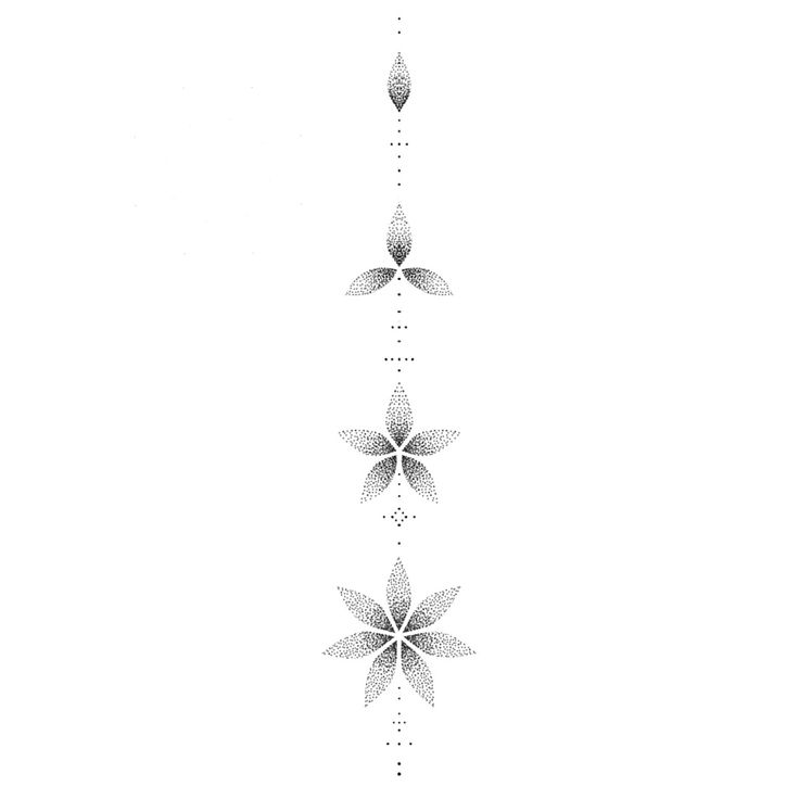 three white flowers are arranged in the shape of four petals on a long line, with dots