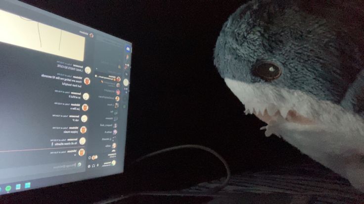 a stuffed shark is next to a computer screen