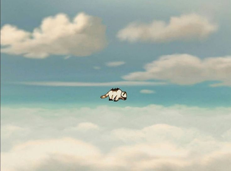 a bird flying high in the sky above clouds