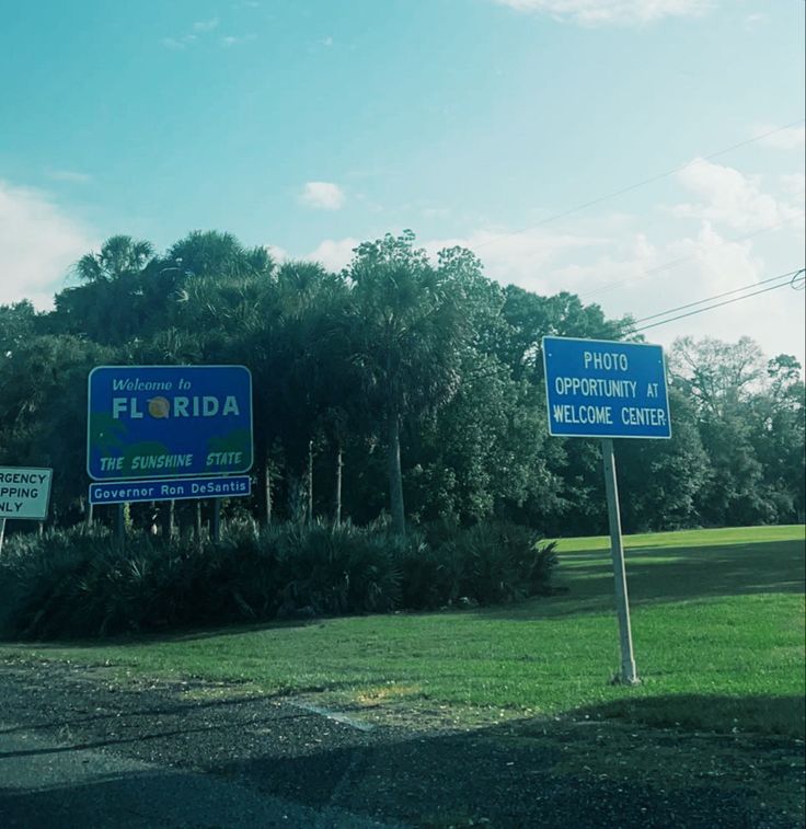 two blue street signs sitting on the side of a road next to trees and grass