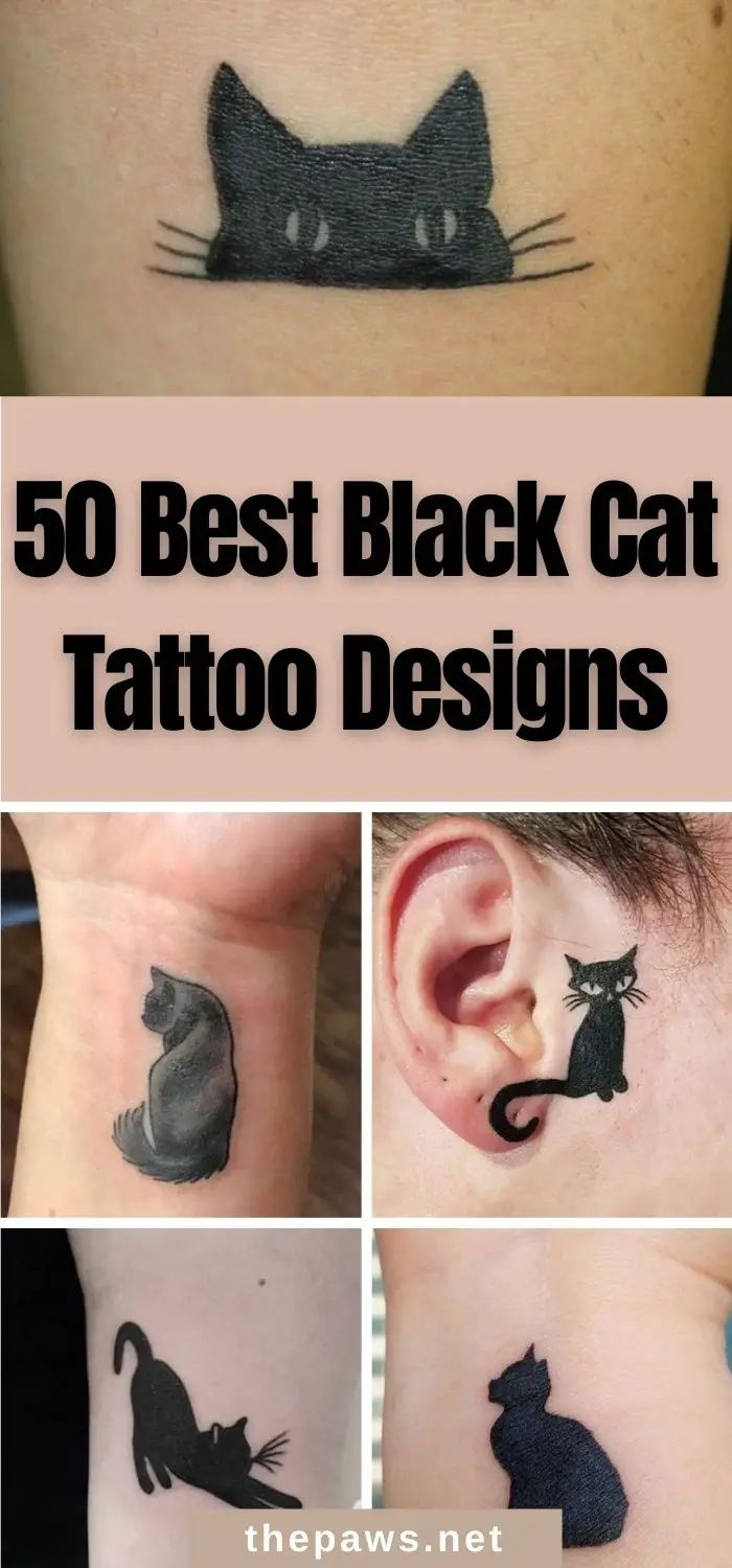 black cat tattoo designs on the neck and ear