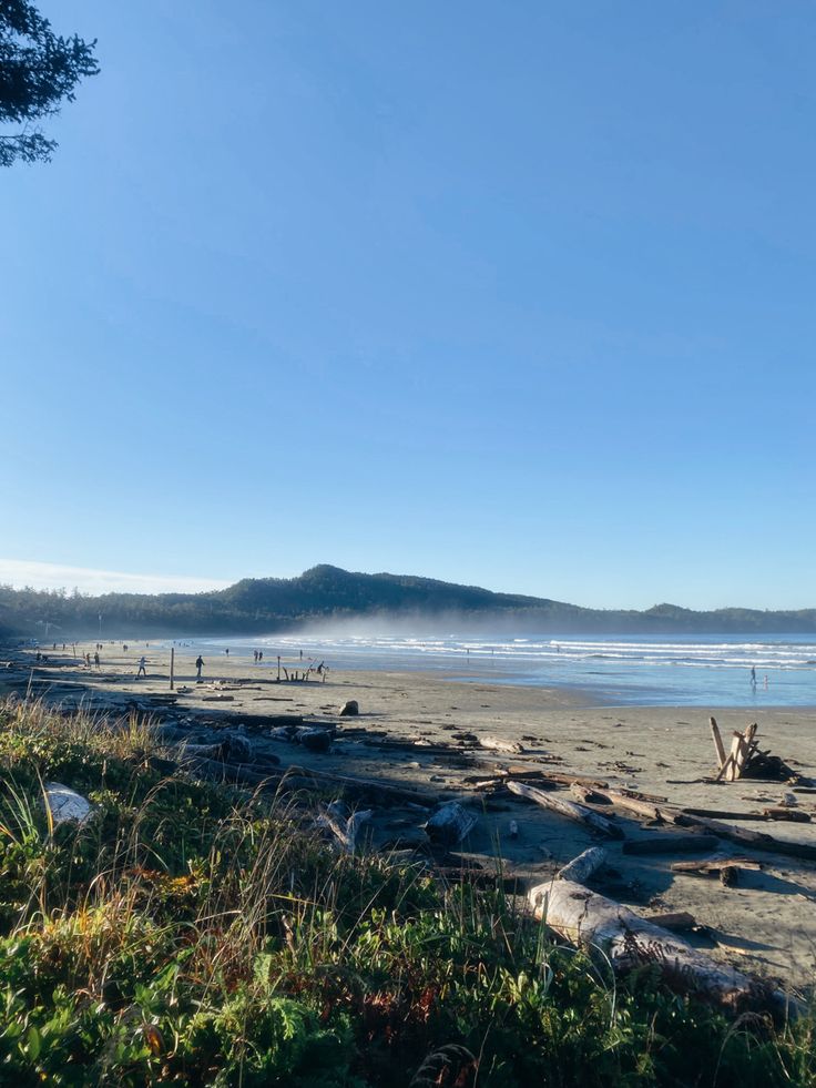 people are walking on the beach near some trees and water with mountains in the background