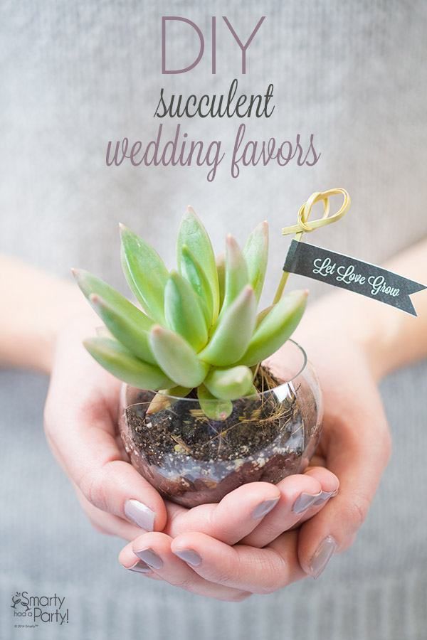 a person holding a small potted plant in their hands with the words diy succulent wedding favors on it