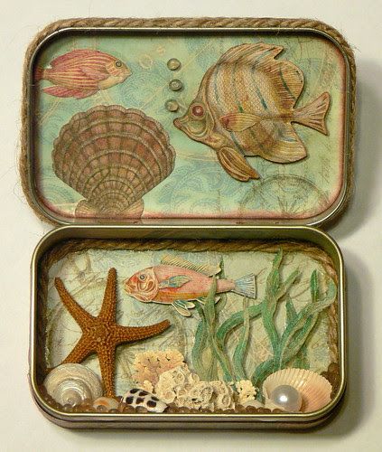 two tins filled with different types of sea animals and seashells on top of each other