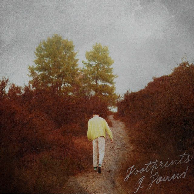 a person walking down a dirt road in the woods with trees on either side and an overcast sky above