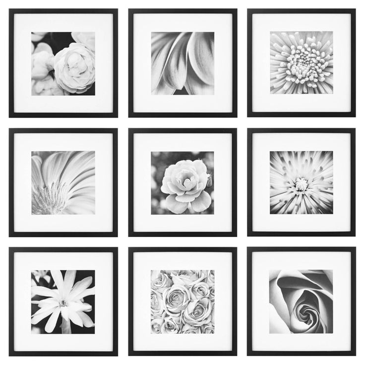 six black and white photographs hanging on the wall in front of each other with flowers