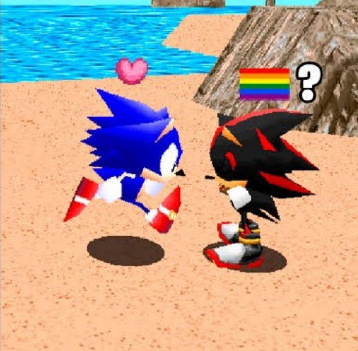 sonic the hedgehog and shadow the hedgehog are playing on the beach