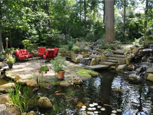 a pond with rocks and chairs in the middle, surrounded by greenery on both sides