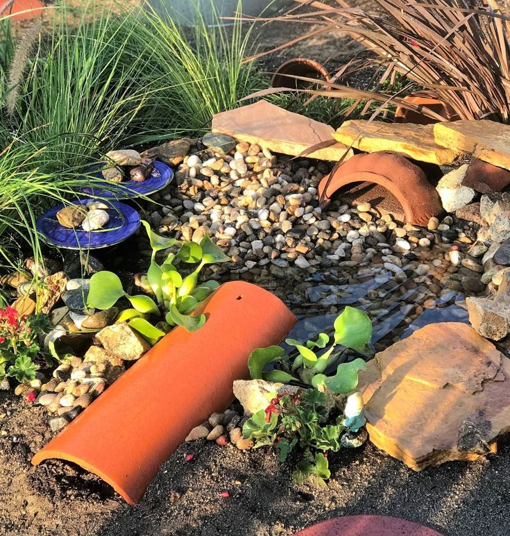 a garden filled with lots of plants and rocks