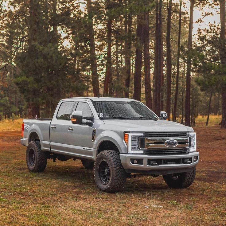 a silver truck is parked in the woods