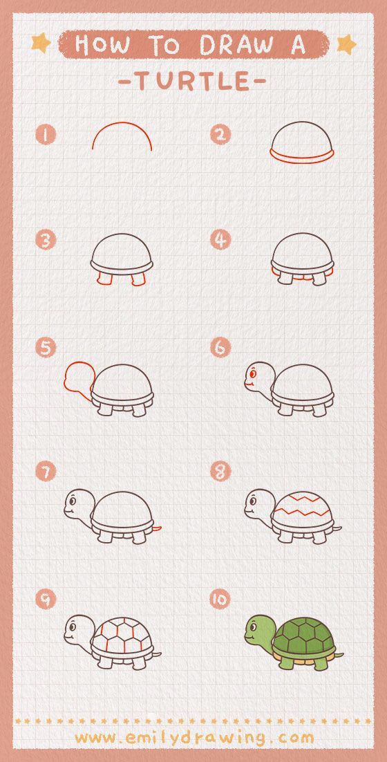 How to Draw a Turtle : Tips and Tutorials Drawing For Starters, Doodle Turtle, Drawing Starters, Draw A Turtle, Cute Turtle Drawings, Tortoise Drawing, Sea Turtle Drawing, Beginners Art, Doodle Art For Beginners