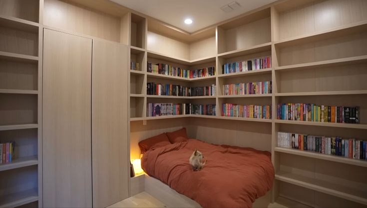 a bedroom with bookshelves and a cat on the bed in front of it