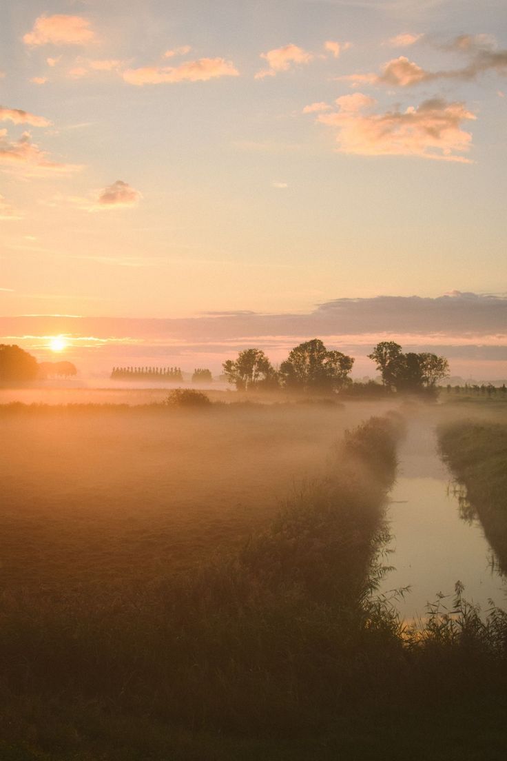 the sun is setting over a foggy field with trees and water in the foreground