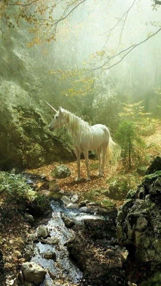 a white horse standing on top of a lush green forest next to a small stream