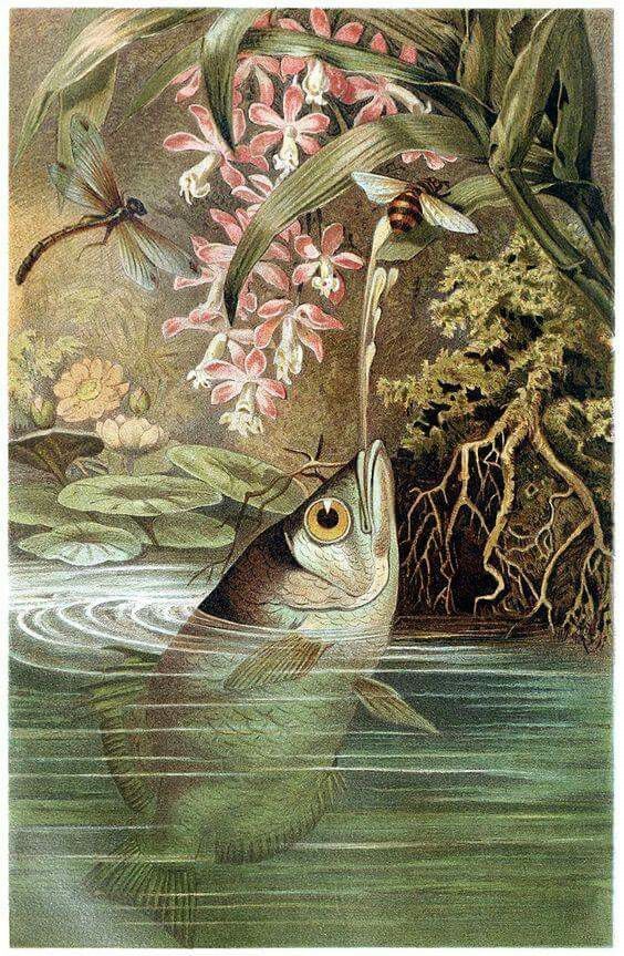 an illustration of a fish in the water with pink flowers on it's head