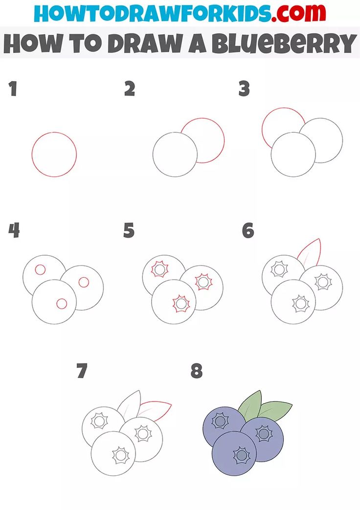 how to draw a blueberry for kids step by step drawing instructions with pictures and numbers