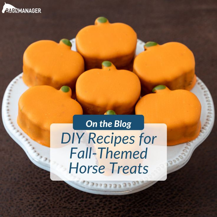 small pumpkin shaped desserts on a plate with the title on the blog diy recipes for fall - themed horse treats