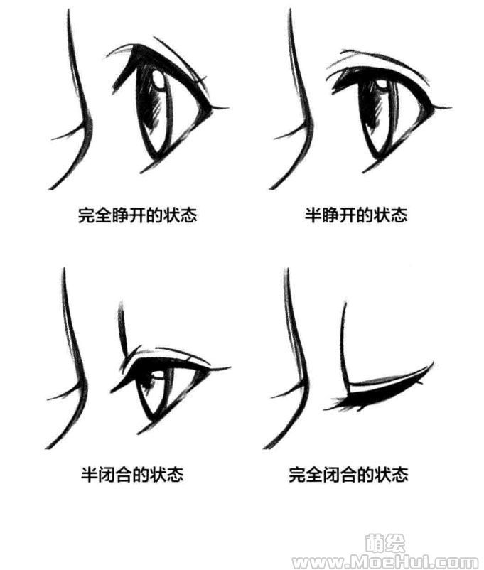 the steps to draw an anime eye step by step drawing for beginners in chinese