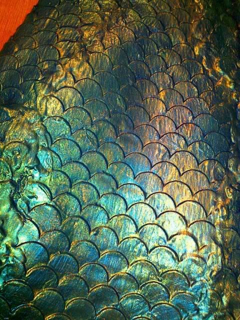 the scales of a fish's tail are seen in this close up photo