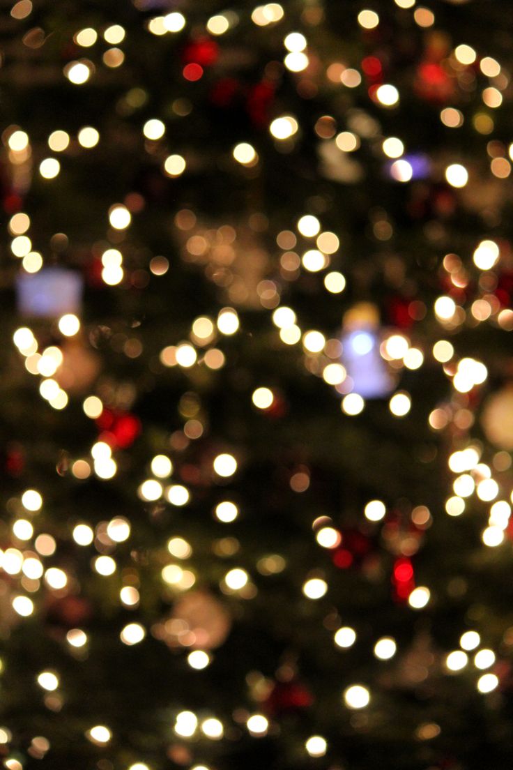 a blurry christmas tree with lights in the background