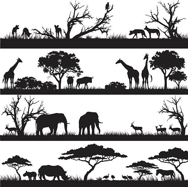 the silhouettes of wild animals in different stages of their life, including elephants and giraffes